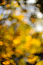 Everything and Nothing, 2011-11-26-1748