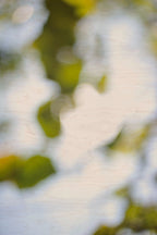 Everything and Nothing, 2012-06-17-3728