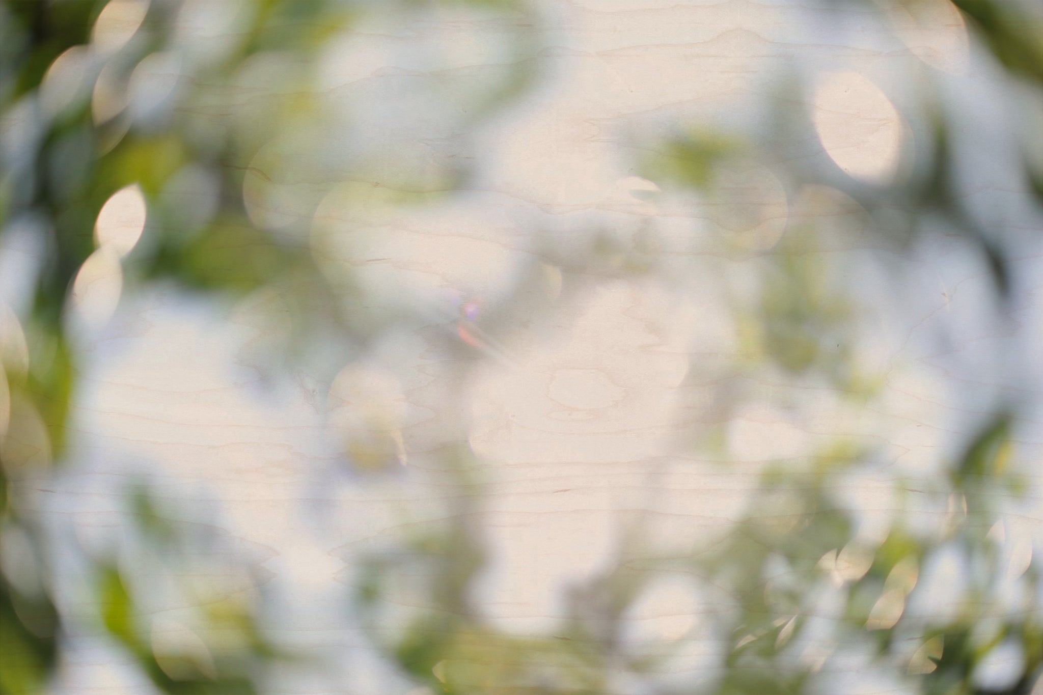Everything and Nothing, 2012-06-17-3742