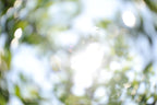 Everything and Nothing, 2012-06-17-3742