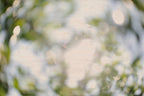 Everything and Nothing, 2012-06-17-3742