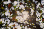 Everything and Nothing, 2012-06-17-3754