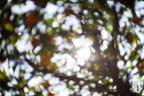 Everything and Nothing, 2012-06-17-3754