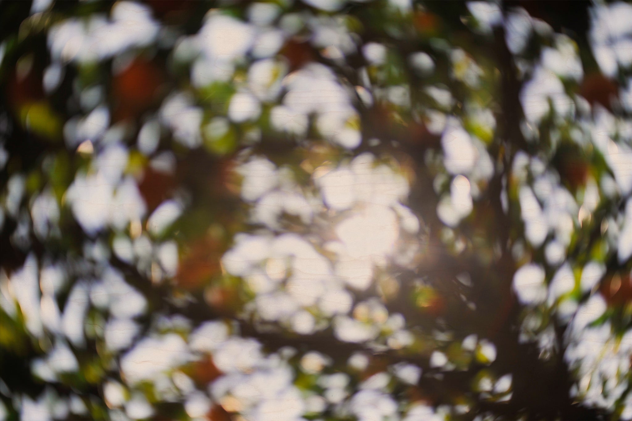 Everything and Nothing, 2012-06-17-3754