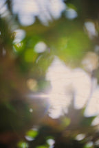 Everything and Nothing, 2012-06-17-3797