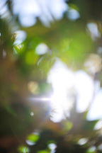 Everything and Nothing, 2012-06-17-3797