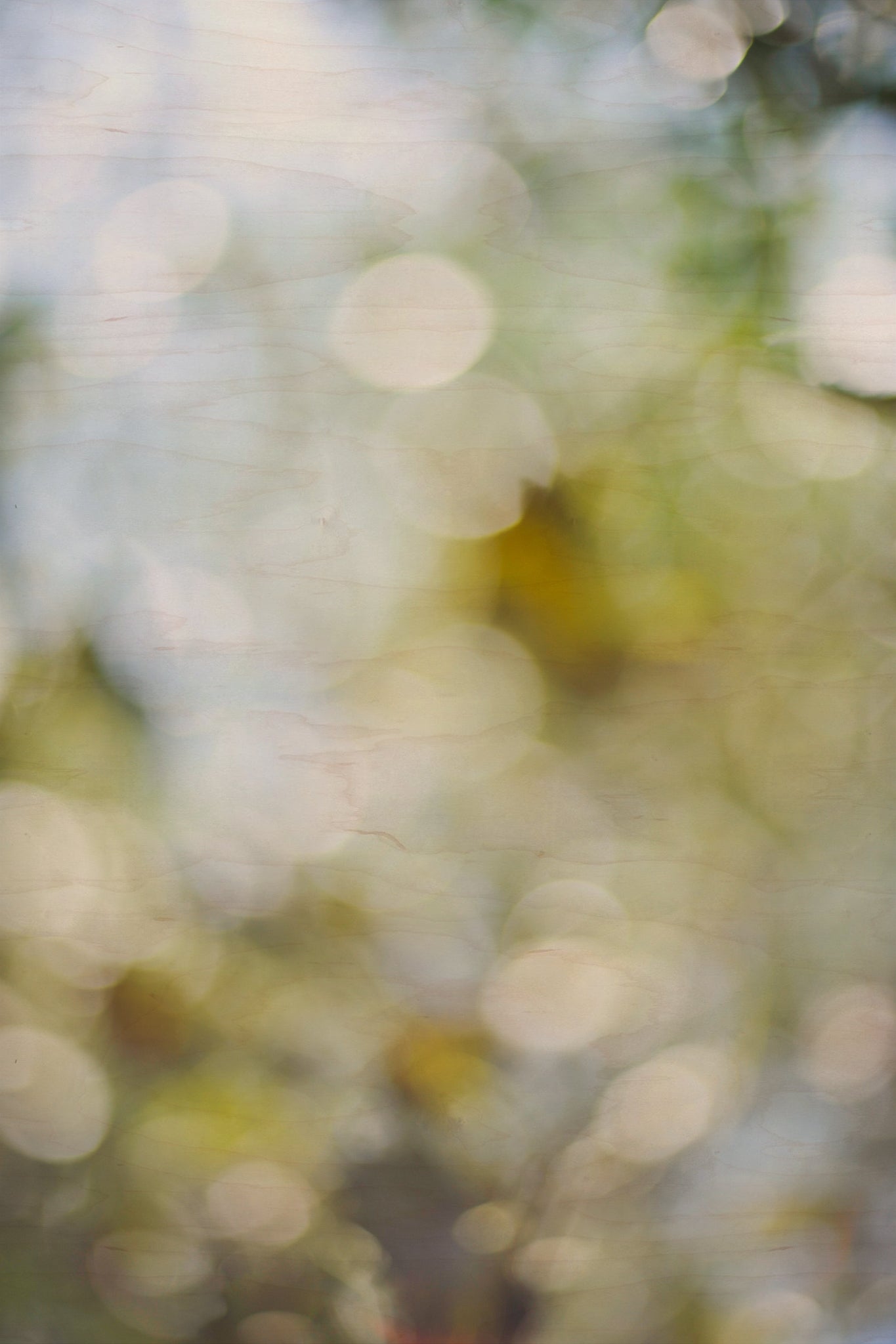 Everything and Nothing, 2012-06-17-3998