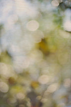 Everything and Nothing, 2012-06-17-3998