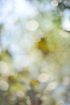Everything and Nothing, 2012-06-17-3998
