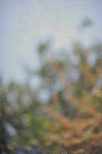 Everything and Nothing, 2012-06-17-4033