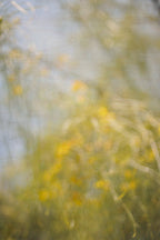 Everything and Nothing, 2012-06-17-4059