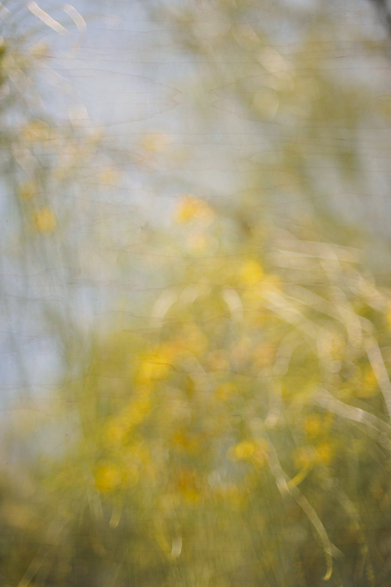 Everything and Nothing, 2012-06-17-4059
