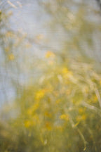 Everything and Nothing, 2012-06-17-4059