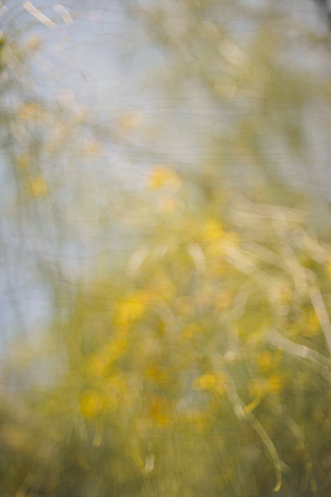 Everything and Nothing, 2012-06-17-4059