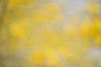 Everything and Nothing, 2012-06-17-4103