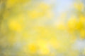 Everything and Nothing, 2012-06-17-4103