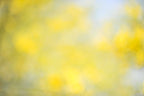 Everything and Nothing, 2012-06-17-4103