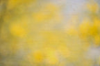 Everything and Nothing, 2012-06-17-4103
