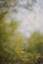 Everything and Nothing, 2012-06-17-4276