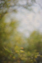 Everything and Nothing, 2012-06-17-4276