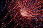 Flare and Flow, 2010-07-04-0273