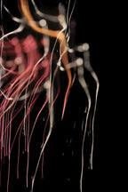 Flare and Flow, 2010-07-04-0294