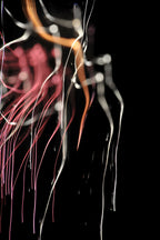 Flare and Flow, 2010-07-04-0294