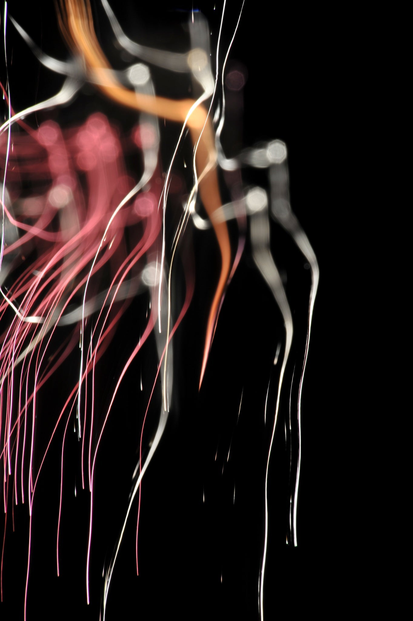 Flare and Flow, 2010-07-04-0294