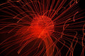 Flare and Flow, 2010-07-04-0312