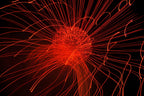 Flare and Flow, 2010-07-04-0312