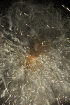 Flare and Flow, 2010-07-04-0339