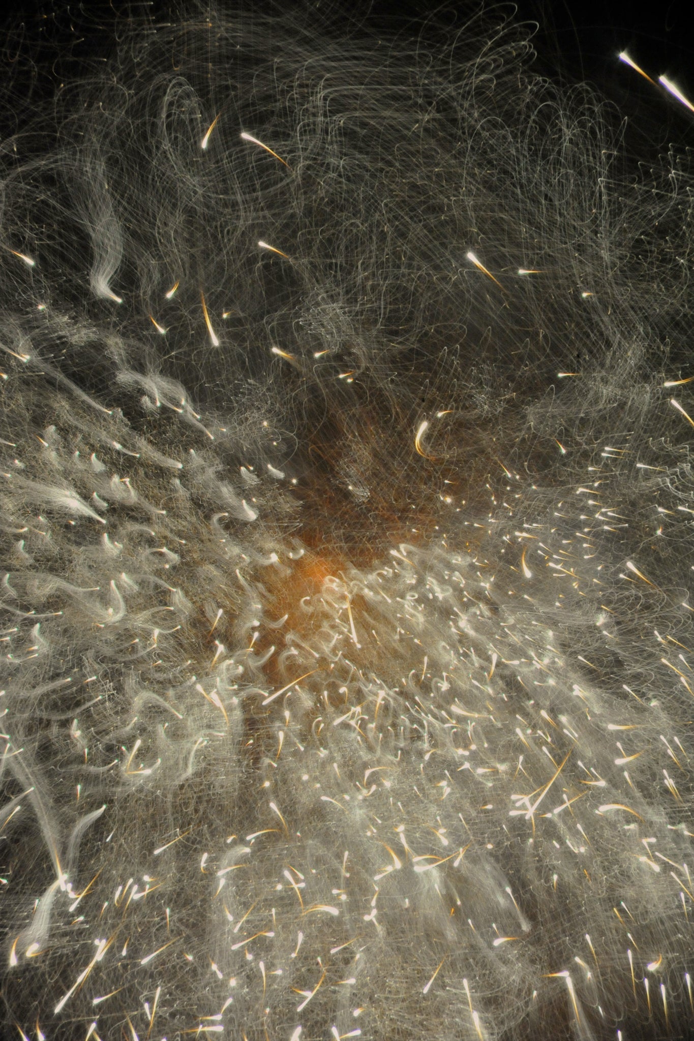Flare and Flow, 2010-07-04-0339