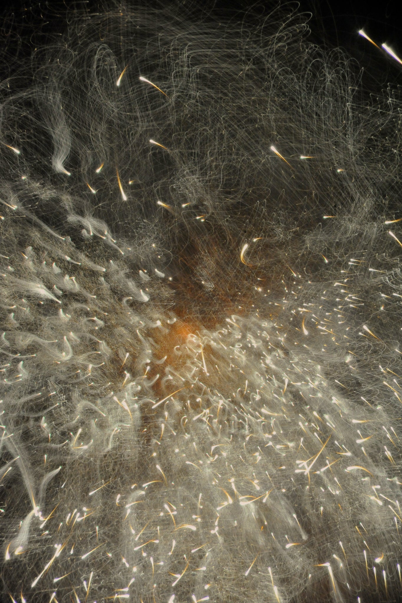Flare and Flow, 2010-07-04-0339