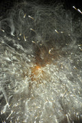 Flare and Flow, 2010-07-04-0339