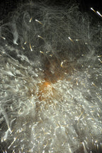 Flare and Flow, 2010-07-04-0339