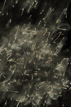 Flare and Flow, 2010-07-04-0340