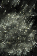 Flare and Flow, 2010-07-04-0340