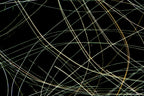 Flare and Flow, 2010-07-04-0361