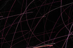 Flare and Flow, 2010-07-04-0364