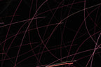 Flare and Flow, 2010-07-04-0364