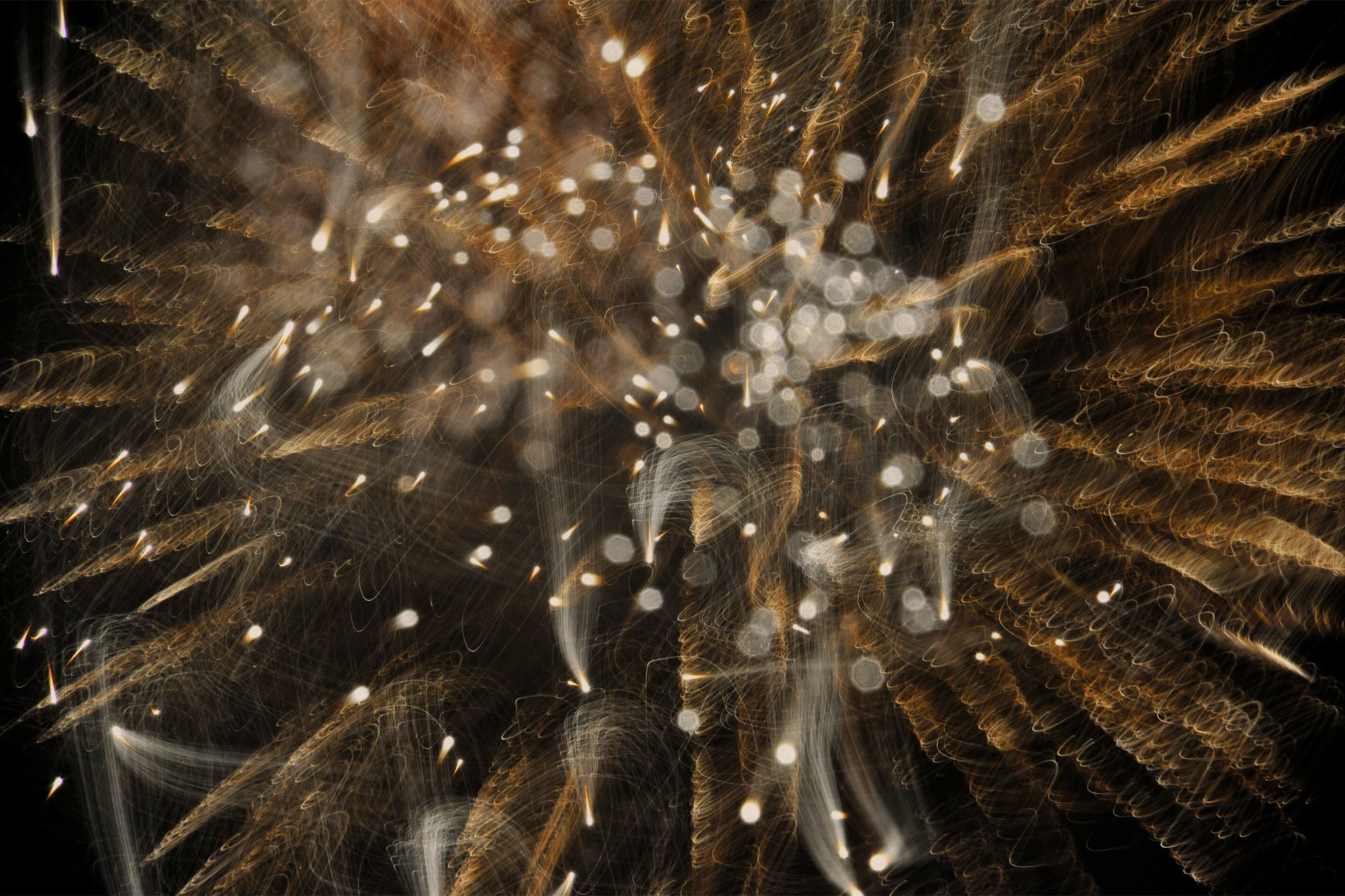 Flare and Flow, 2010-07-04-0370