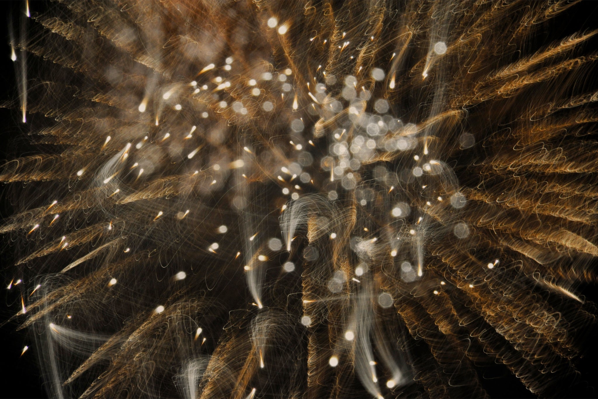 Flare and Flow, 2010-07-04-0370