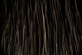 Flare and Flow, 2010-07-04-0389