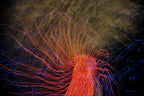 Flare and Flow, 2010-07-04-0400