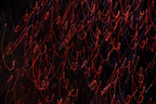 Flare and Flow, 2010-07-04-0405