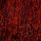Flare and Flow, 2010-07-04-0406
