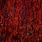 Flare and Flow, 2010-07-04-0406