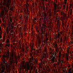 Flare and Flow, 2010-07-04-0406