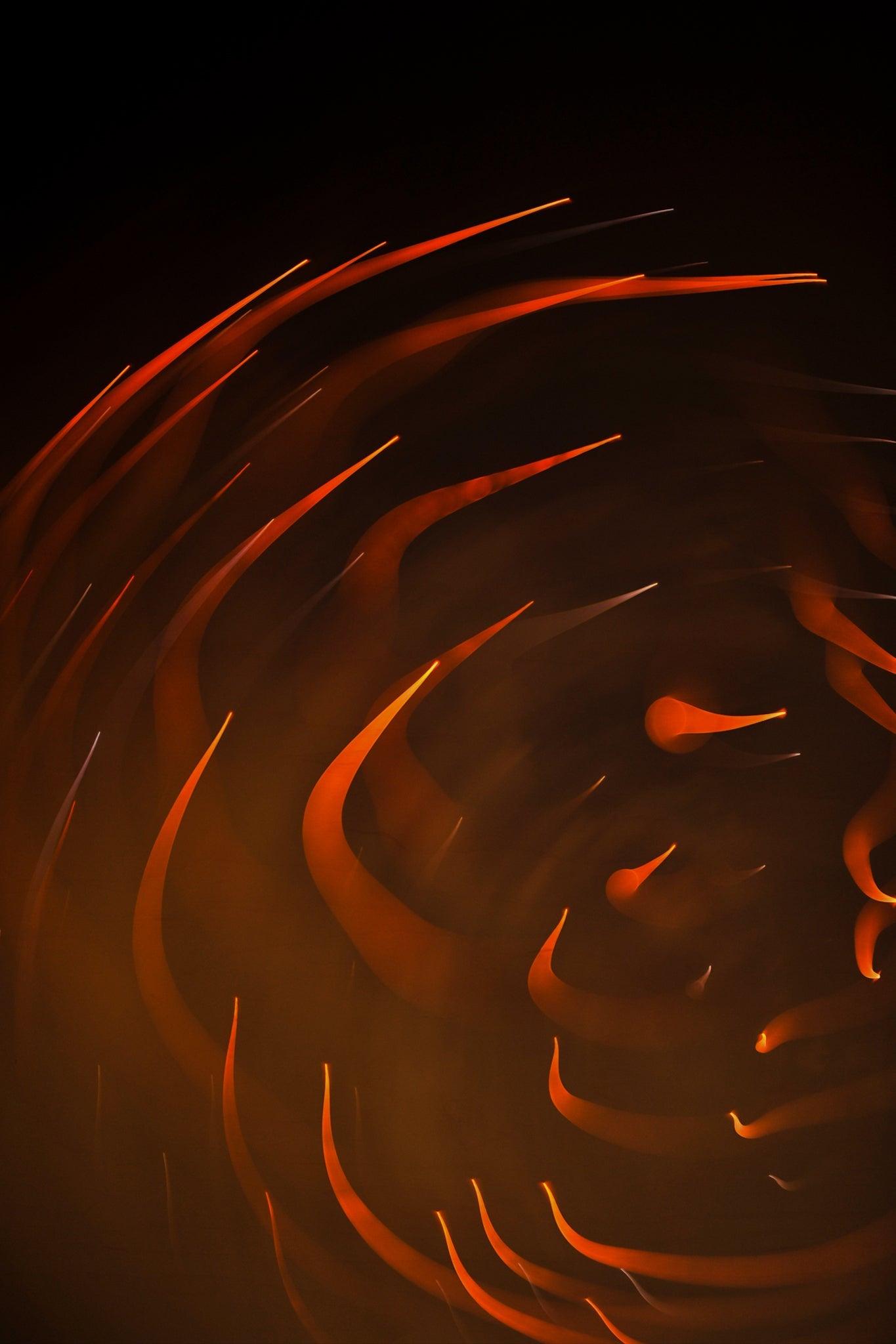 Flare and Flow, 2013-07-04-0013