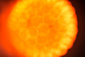 Flare and Flow, 2013-07-04-0017